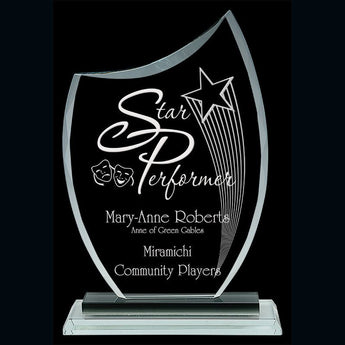 Metal Accent Distinction Glass Award