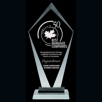 Crystal Visionary Award - Small